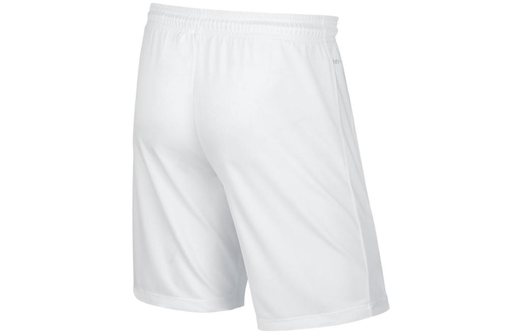 Nike Спортивные шорты мужские белые средние 725887-100