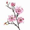 Pink Artificial Magnolia Flowers Branch Real Touch Plastic Fake Flower  Living Room Ornaments