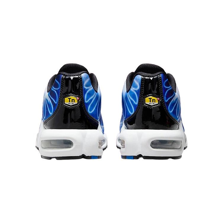 Nike Air Max Plus 'Light Photography - Old Royal' Мужские DZ3531-400