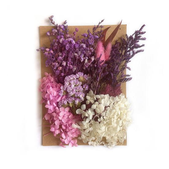 1 Bag Dried Flower Model Eye-catching Charming Smooth Surface Durable Fantastic Detailed Dried Flower Display for Kid