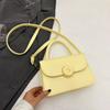 High-value Bag Women's 2025 Winter New Fashion Niche Portable Small Square Bag Versatile Shoulder Messenger Bag