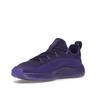 Nike Кроссовки LeBron TR 1 Purple Rain Unisex Court-Purple Action-Grape FJ6151-500