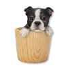 Ubia Boston Terrier Pencil 10 X 8 X 12 Animal Garden Cute H23239 Holder, Cm, Figurine, Ornament, Decoration, Realistic, Dog,