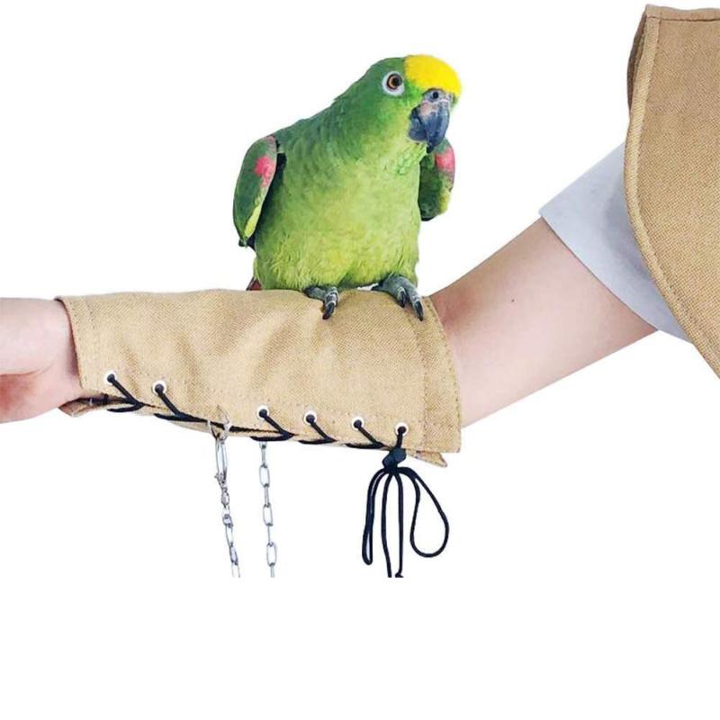 CANXING Попугай против царапин, защитная шаль для птиц, подгузник для попугаев, корелл, птиц, ножной браслет