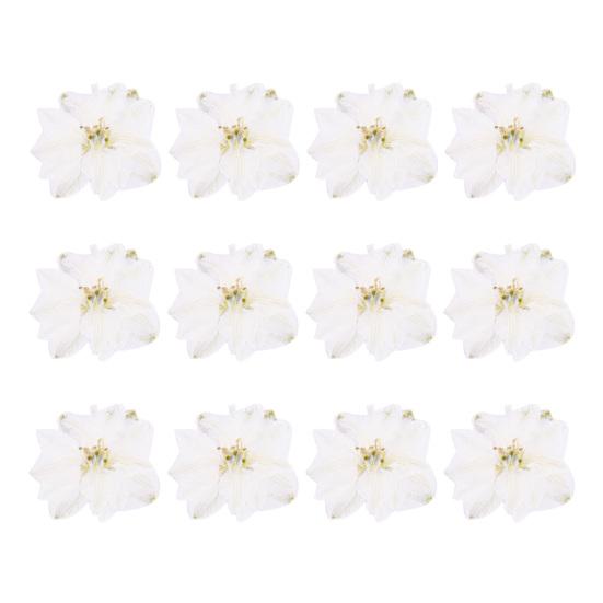 12Pcs Dried Flowers Creation Epoxy Resin DIY Pressed Long-lasting Dried Flowers