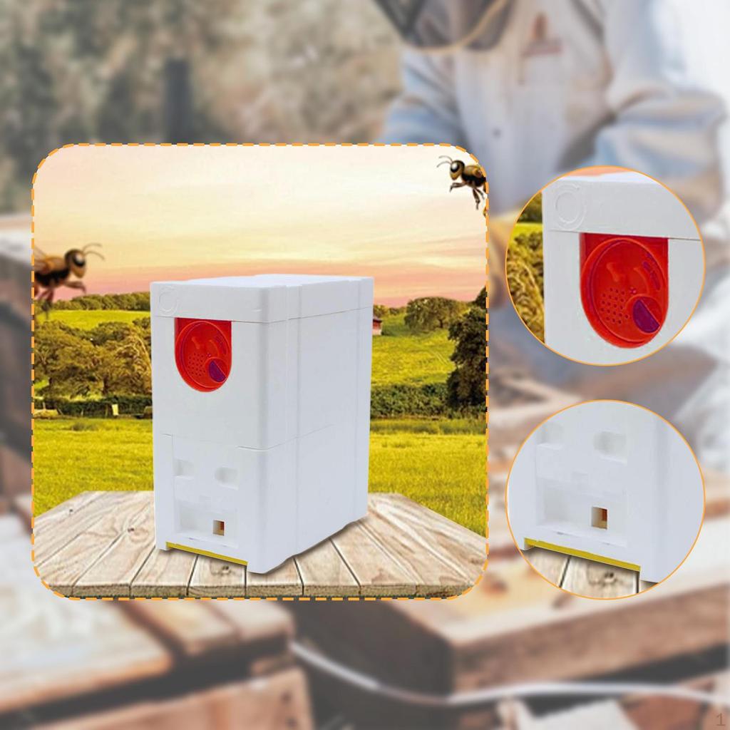 Queen Bee Breeding Box Hive Supplies Easy To Use Foam Rearing for Summer Late