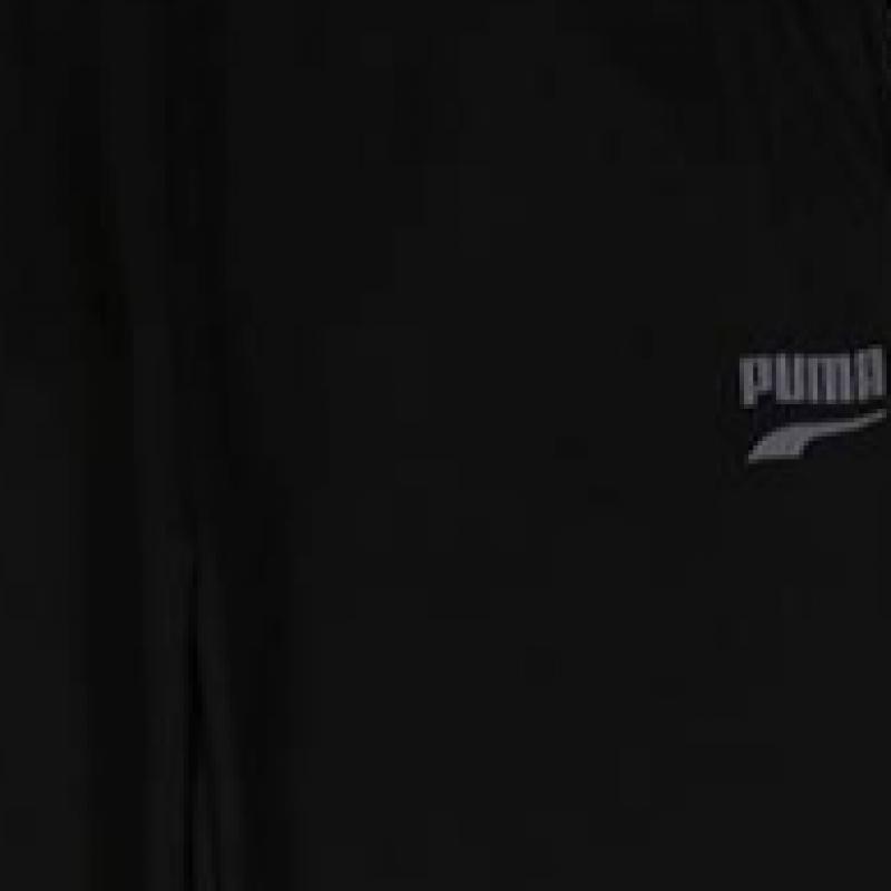 Puma Боди Puma Men S Норка Флис Домашняя одежда Верх и низ Комплект Вариант