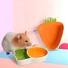 Pet Spice Plates Feeding Carrot Shaped Chewing Water Drinker Hamster Bowl Food Dish Sauce Dish