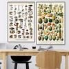 Adolphe Millot Vintage Botanical Retro Poster Mushrooms Fruits Plants Canvas Painting Wall Art Kitchen Living Room Home Decor