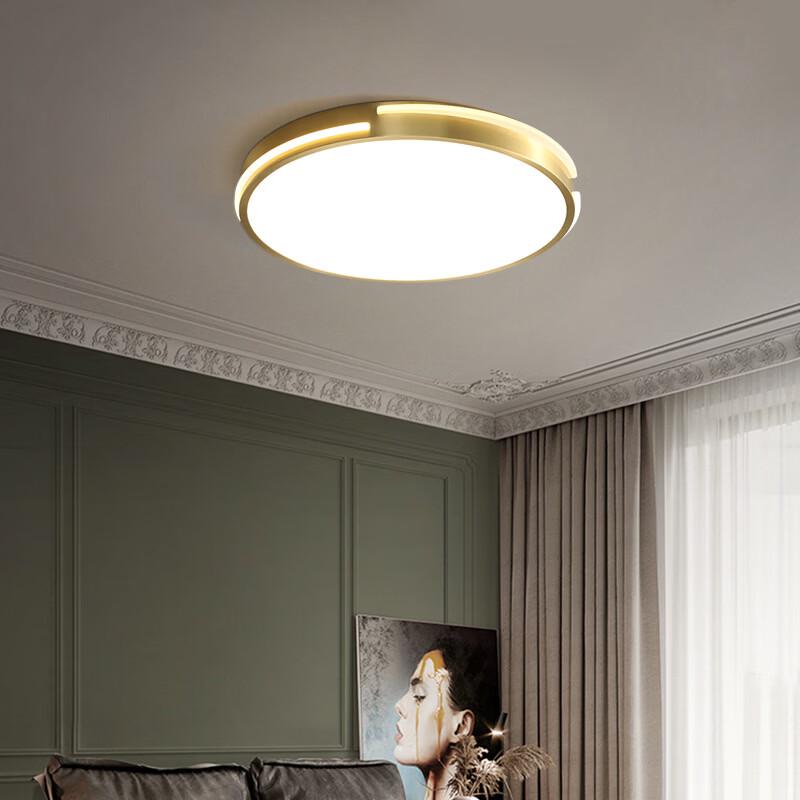 OEING Modern Gold LED Ceiling Light