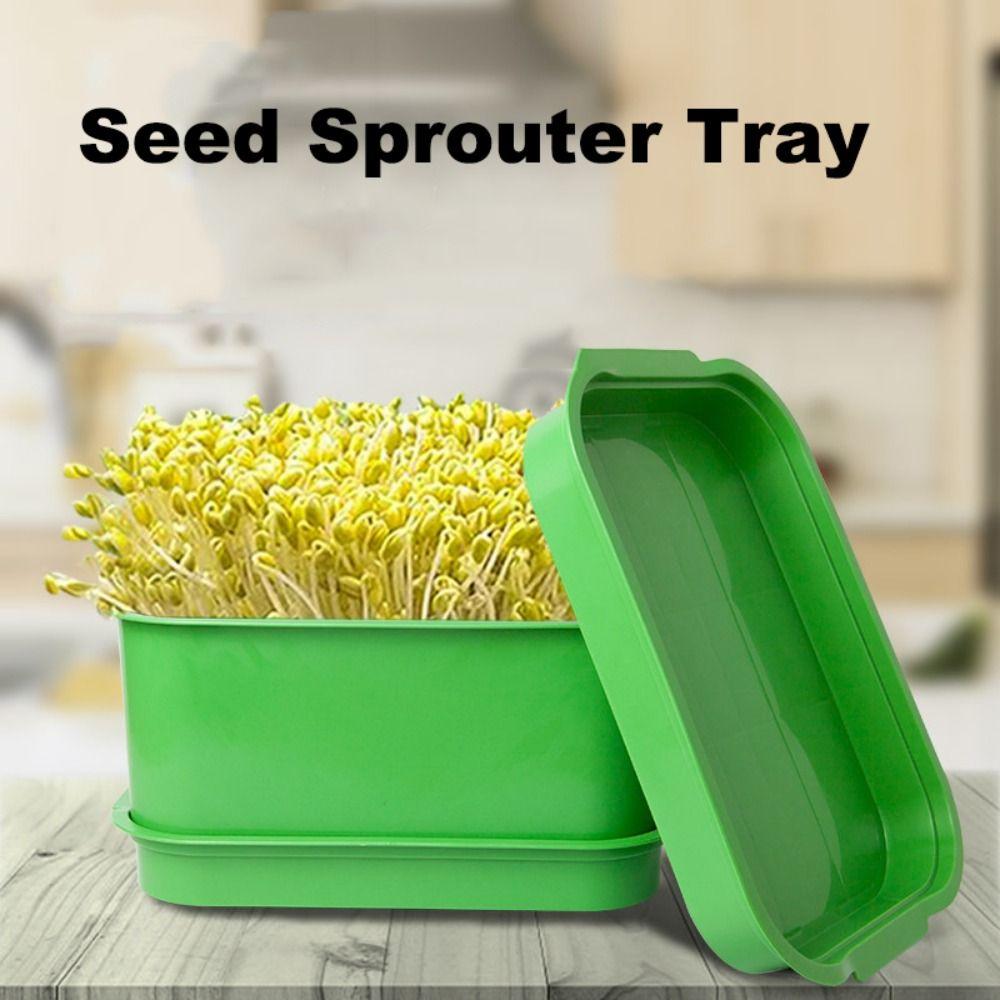 Plastic Seed Sprouter Tray With Cover Beans Seeding Pot New Sprout Dish Growing Pot