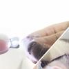 Mini Professional Electric Claw Trimming Knife Pet Nail Clippers Cat and Dog Paw Trimmer mini Animal Grooming Nail Beauty Tools
