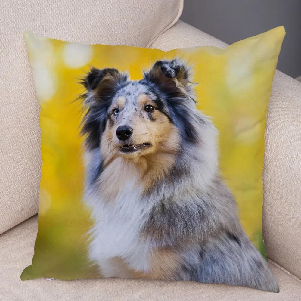 Милый Домашний Питомец Наволочка Шотландия Бордер Колли Наволочка для Дивана Автомобильного Декора Принт Собаки Мягкая Плюшевая Наволочка