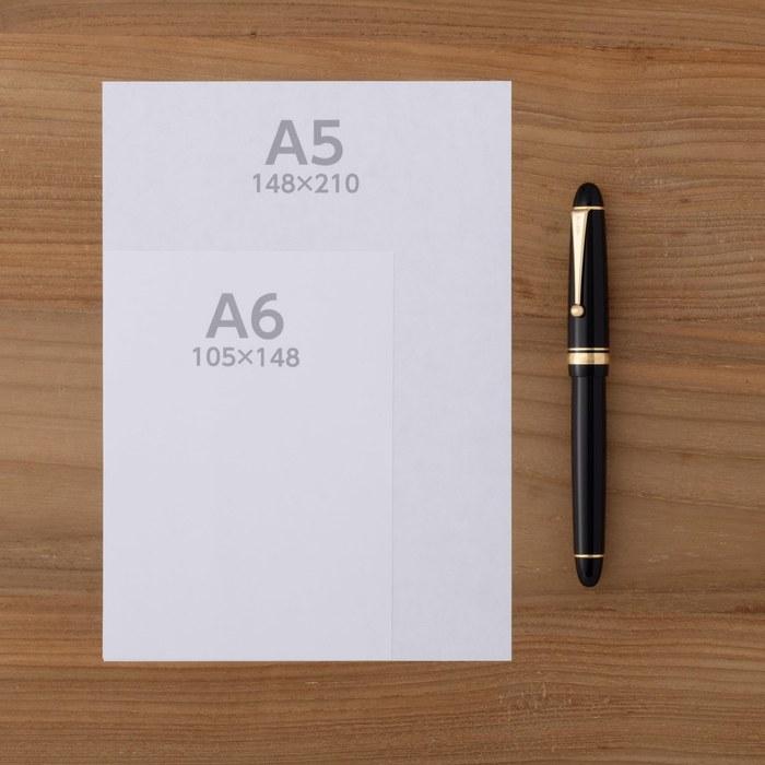 PILOT Fountain Pen Custom 742 B FA Black FKK2000RBFA