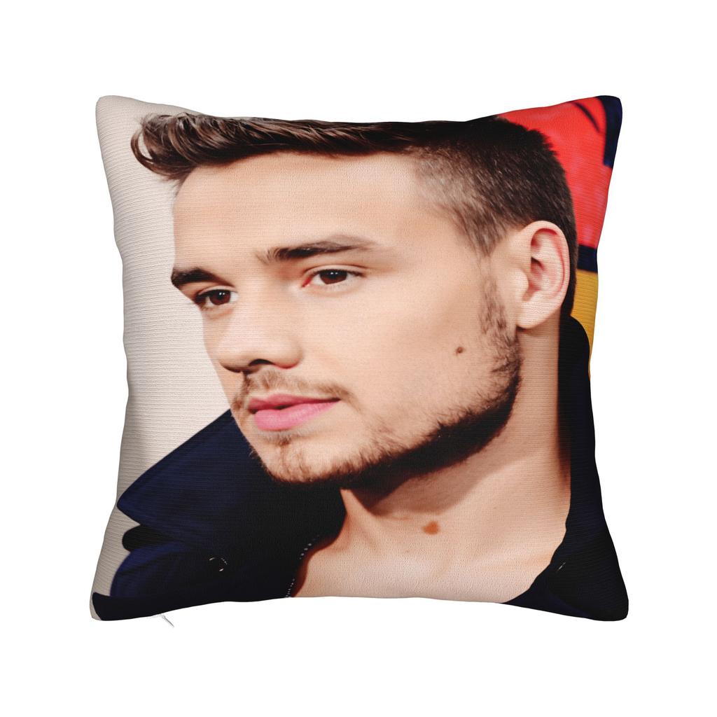 L-Liam Payne Singer Pillow Case Soft Pillow Cover Morden Pillowcases For Living Room Chair