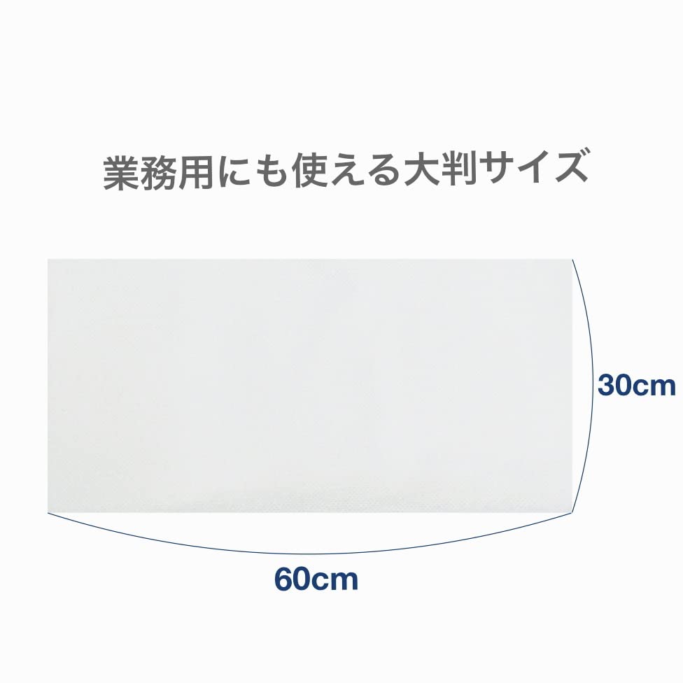 Sheets X 6 Dainichi Sangyo Counter 30 X 60 Disposable Dish For Home and Commercial [100 Boxes] D-Cloth Non-woven Cloth, White, Large, Cm, Cloth,