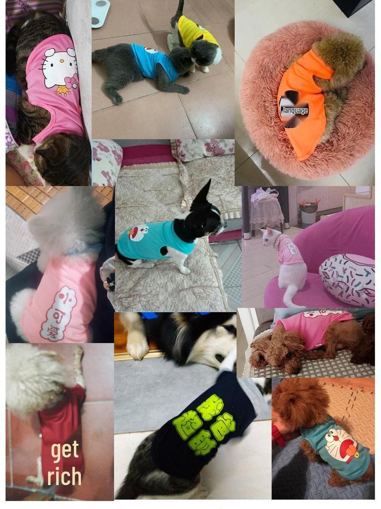 Summer Sleeveless Vest for Small Dogs - Fits Teddy, Pomeranian, and Bichon Frise