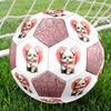 Love Puppies Abstract Surface Size 5 Soccer Football Machinestitched Indooroutdoor Universal Football Perfect Gift For Sports Enthusiasts Perfect
