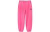 Nike X Stussy FW22 Спортивные штаны Унисекс Розовые DO5297-670