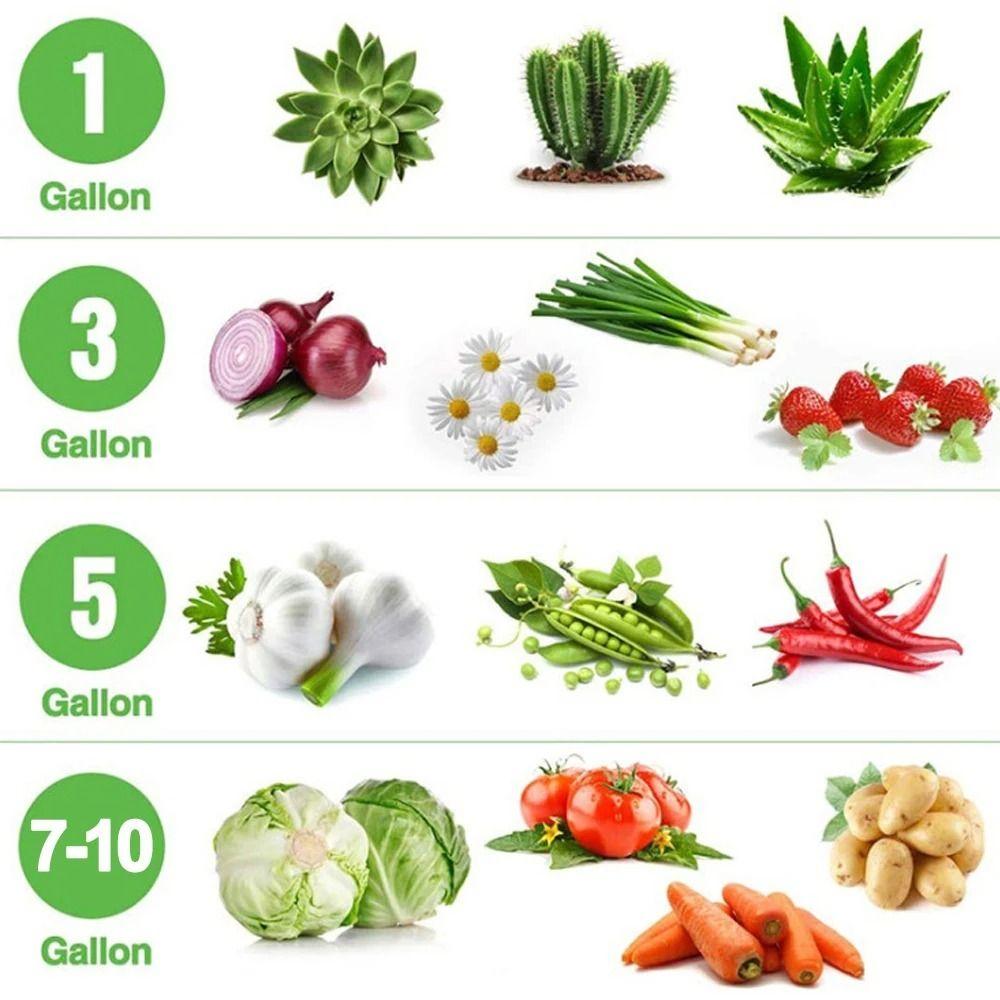 1/3/5/7/10 Gallon with Handles Garden Planting Bag Felt Planting Container Outdoor