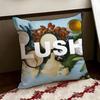 LLushS Cushion Cover Reversible Soft Durable Pillow Cover Home  Car MultiScene Use for Daily Comfort