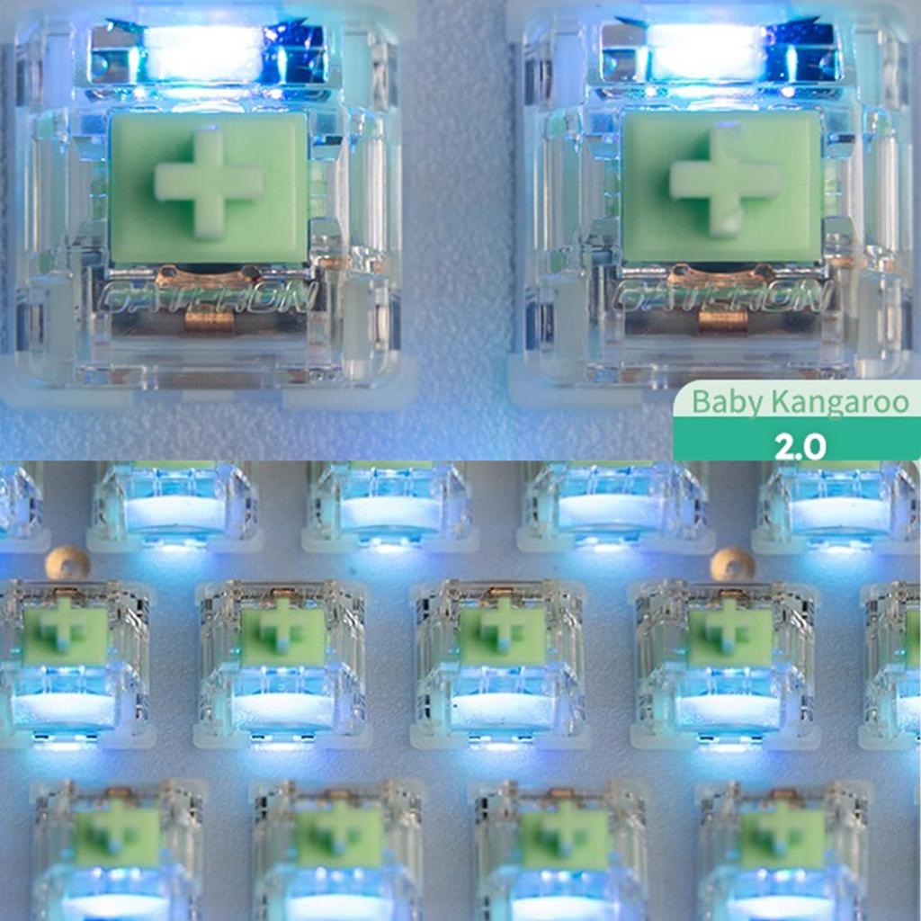 GATERON Baby Kangaroo Keyboard RGB LED Heavy Tactile 5 Pin Factory Lubricated 59g Key Switch for MX Mechanical Keyboard 2.0 Switch, (105 Pieces)