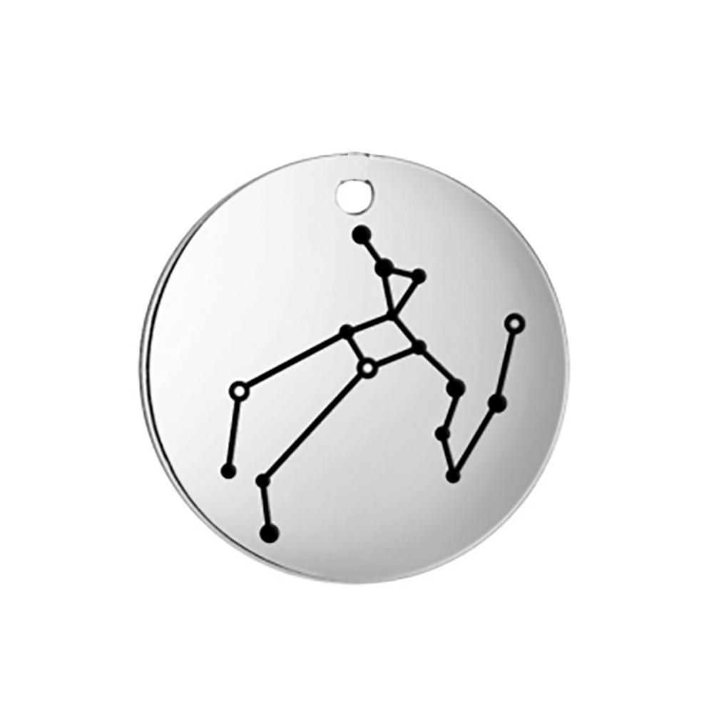 Stainless Steel Zodiac Charms for Jewelry Making Constellation DIY Pendants for Necklace Bracelet Keychain Earring