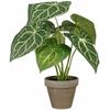 Plante Décorative - MICA DECORATIONS - Caladium - Ø 21 Cm - Hauteur 28 Cm - Artificielle