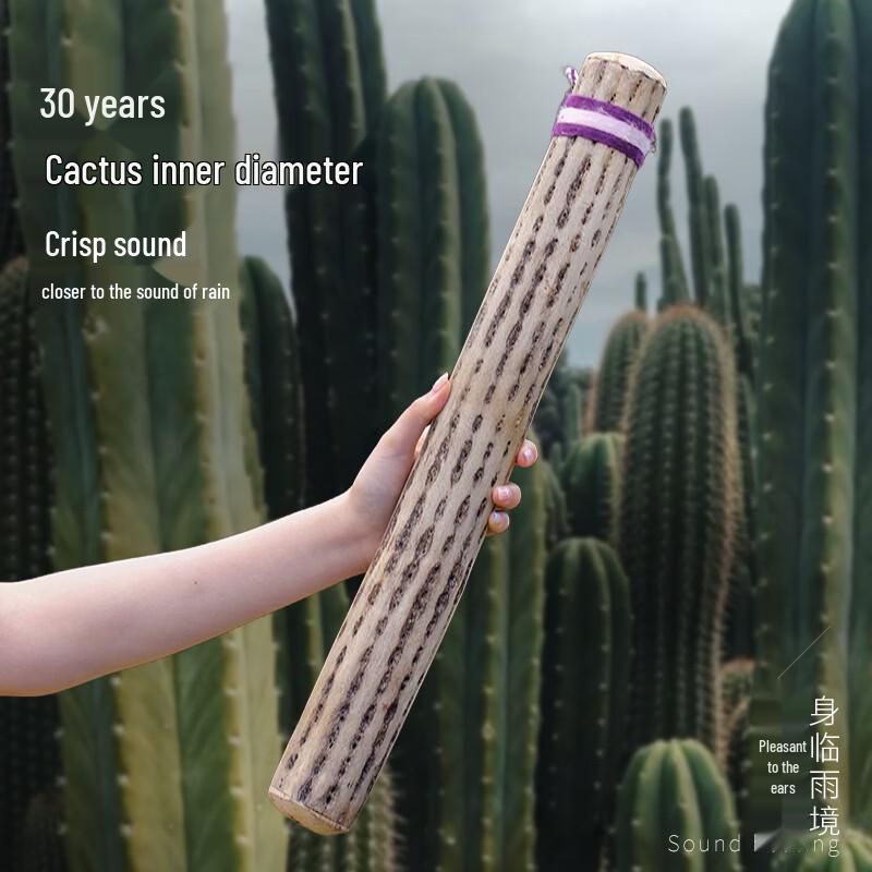 Meiliya Кактус Звуковая Терапия Дождевая Палка Подарочная Коробка