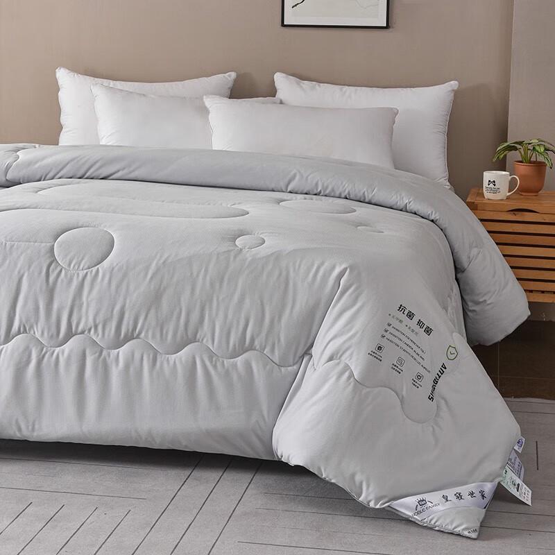 Royal Bedding Warm Winter 7-Hole Polyester Quilt