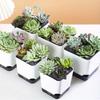 5Pcs Self Watering Plant Pot, Flower Planters, Modern Flower Pots with Water Reservoir, Mini Plant Pots Herb Garden Planter