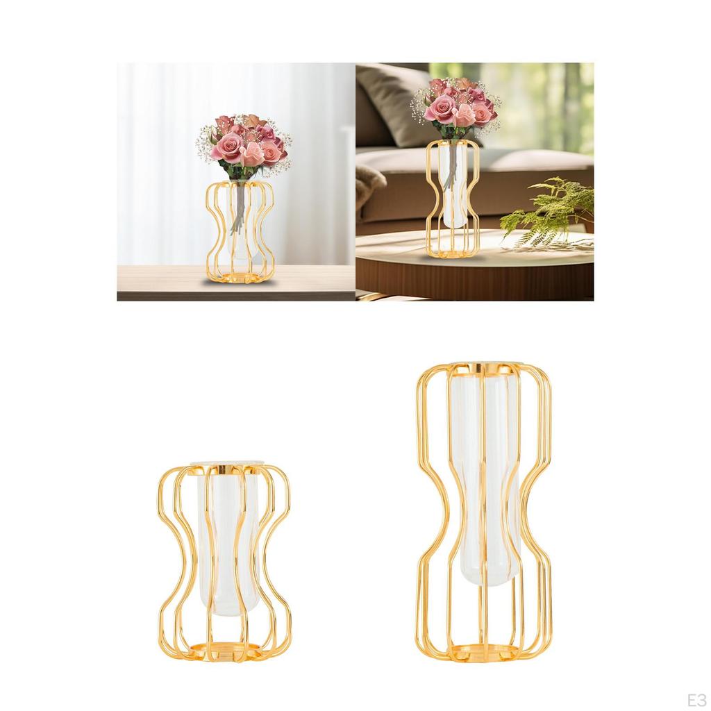 Настольная стеклянная ваза для цветов, металлический каркас, настольный орнамент, золотой цвет, подставка для размножения растений для сада