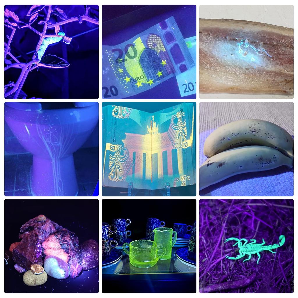 TNATRA UV 365nm 395nm Blacklight Flashlight UV Glue Curing, Dry Stain, Portable, Zoomable Handheld Ultraviolet Flashlight Blacklight