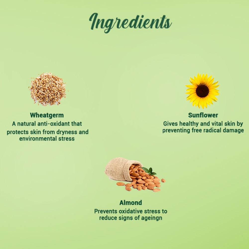 Biotique Антивозрастной ночной крем с зародышами пшеницы 50г