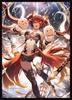 Chara Sleeve Collection Matte Series Worlds Beyond Shadowverse "Unrestrained Hellfire, Cerberus" (No. MT2159)