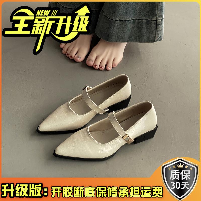 Shallow mouth word with pointed thick heel high heels spring and summer French medium heel Mary Jane shoes commuter women's shoes