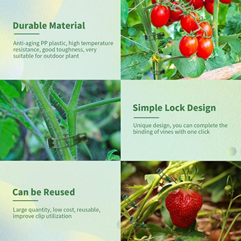 100 шт., зажимы для растений, пряжка, крючок, пластиковые опоры, соединяет многоразовый держатель, садовые принадлежности для овощей, помидоров
