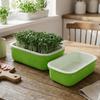 2Pcs Plastic Germination Tray High Ventilation Hydroponic Planting Tray  Greenhouse Supplies
