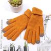 Women's Autumn and Winter Cute Fleece Thickened Double-layer Cycling Cold-proof Plush Knitted Warm Pineapple Gloves