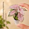 Rotating To Luck Artificial Plant Refrigerator Magnet Rotatable Feature Fridge Magnets  Home Office
