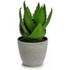 Plante Décorative - IBERGARDEN - Aloe Vera - 15 X 23,5 X 15 Cm - Plastique - Lot De 6