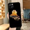 Iraq Map Phone Case For iPhone 16 17 Pro Max 15 14 13 11 12 Pro Max mini 15 16 Plus 16e 17 Air Cover