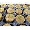 100Pcs Garden 2.7x2cm Seed Starter Plugs Rockwool Cutting Clones Cubes Propagation