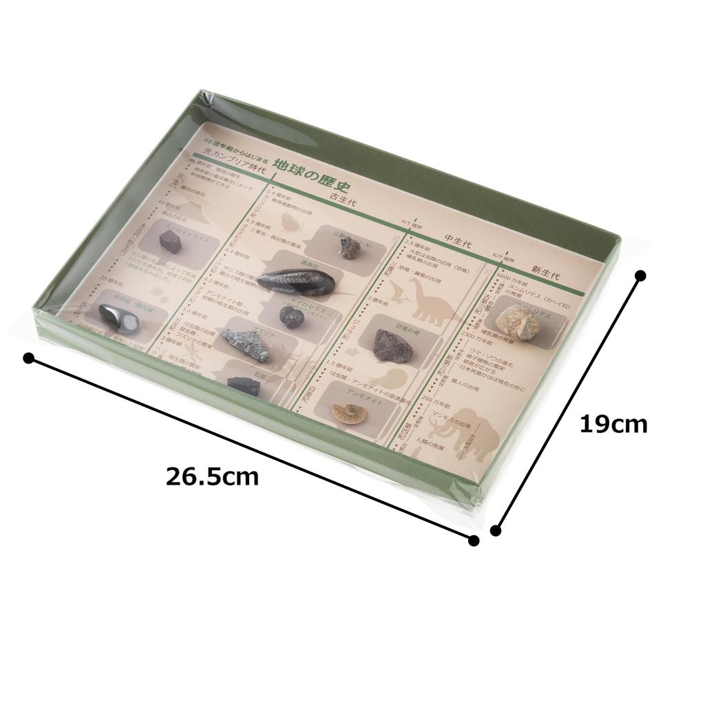 Oherikosha Specimen Geological Time Specimens History of the Book-Type Set "The Earth"