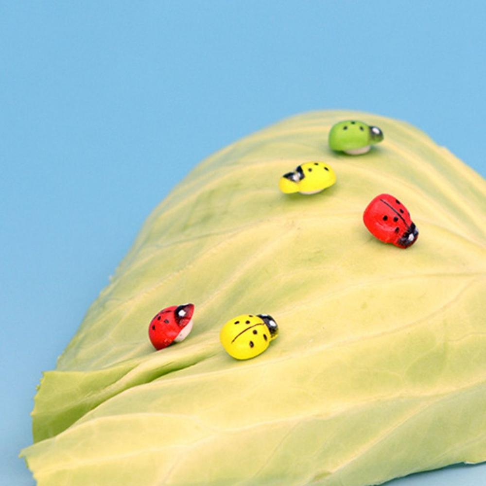 Миниатюрная модель Маленький жук Бонсай Декор Фигурки божьей коровки Деревянные поделки Сказочный сад Пейзаж