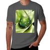 Bromeliad (Aechmea Pectinata) Tshirt Cool Dry Perforunisexce Tshirt