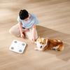 Xiaomi Body Composition Scale S400