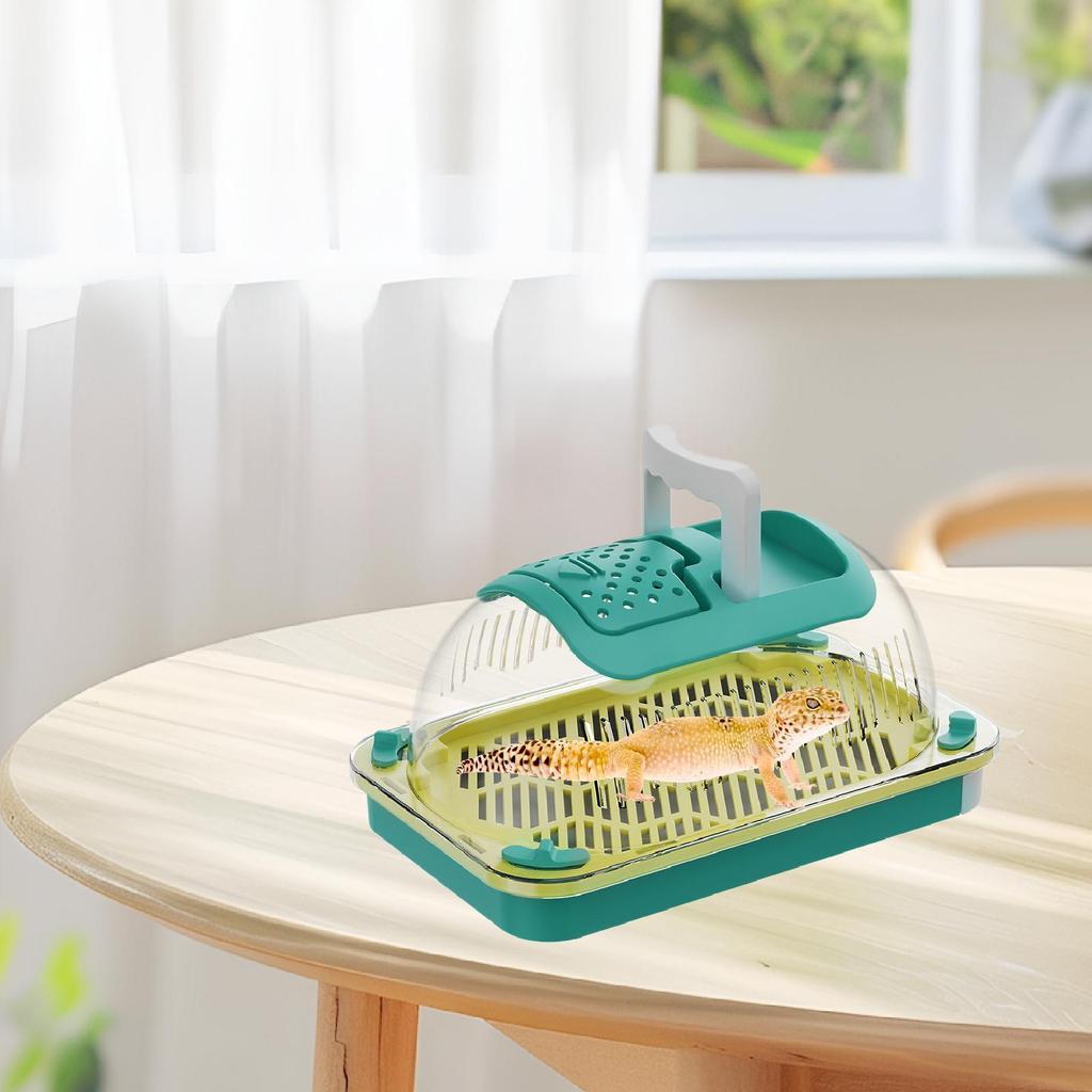 Террариум для рептилий Аквариум для черепахи Прозрачный бокс для кормления рептилий Среда обитания Клетка Переноска для рептилий для черепахи Ящерицы Пауки Черепаха Змея