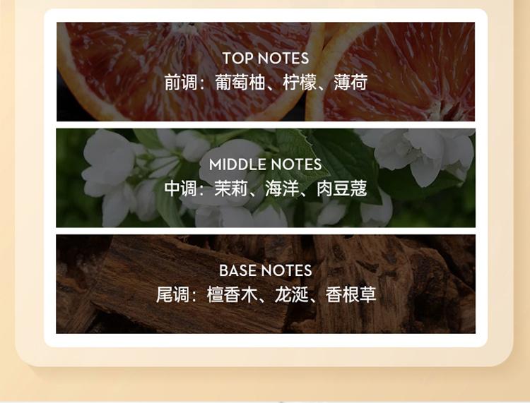 OHBT Plant Extract Luxury Moisturizing Hair Care Essential Oil