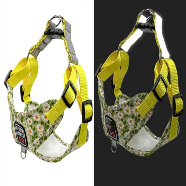 Сумка для владельца, одежда для собак, комплект нагрудных ремней, бронза